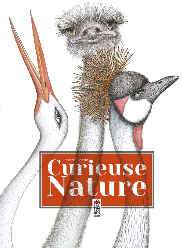 Couverture de Curieuse nature - Saltimbanque éditions