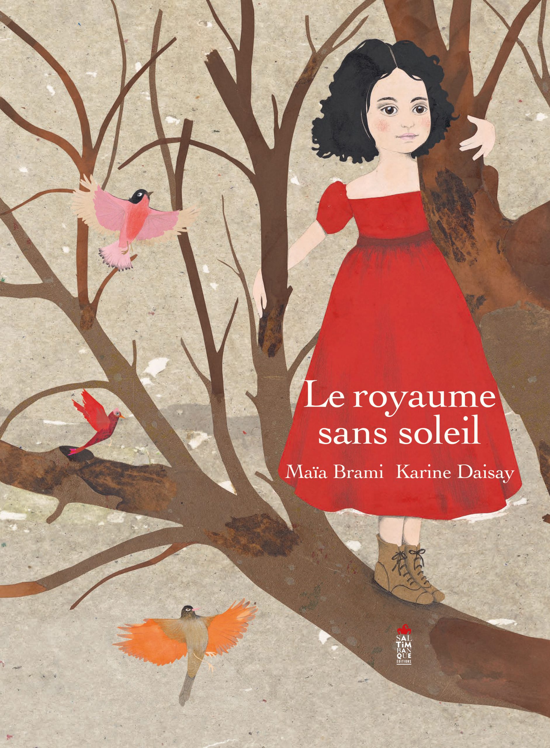 Couverture de Le royaume sans soleil - Saltimbanque éditions